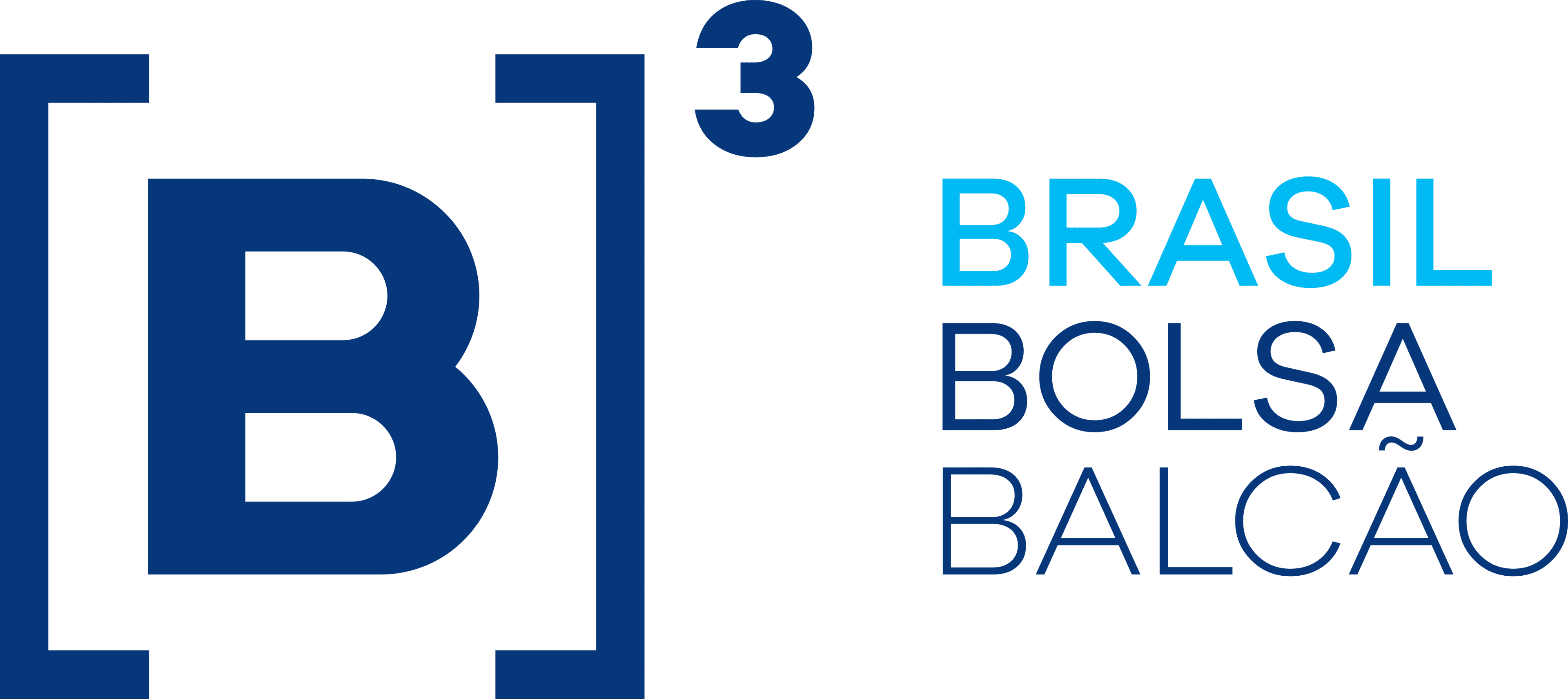 B3